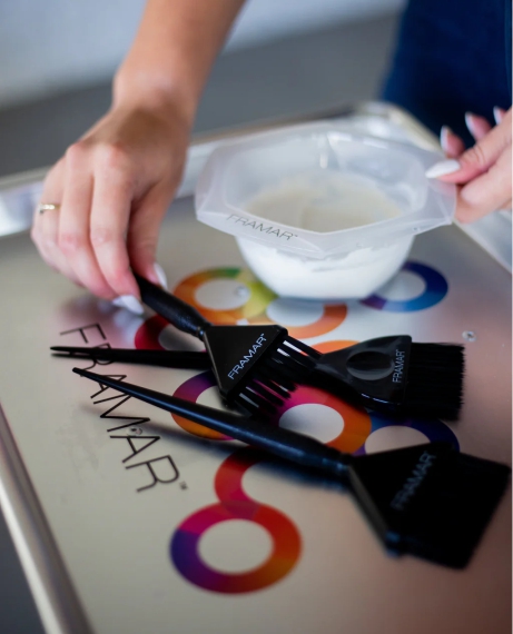 Набор кистей для окрашивания Framar Family Pack Black