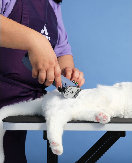 Машинка для стрижки Andis eMERGE 560495 RDLC